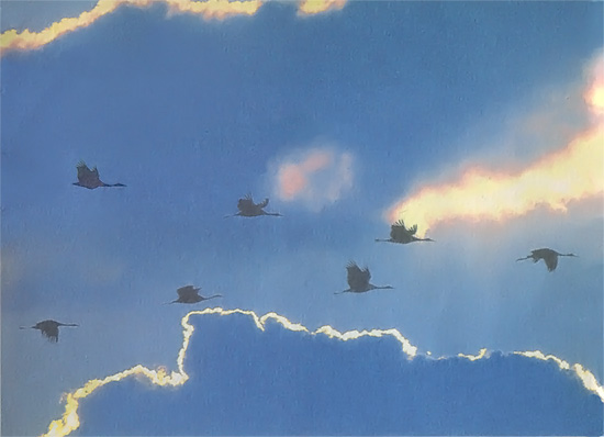 
Although geese flying south in formation is a familiar enough sight of the autumn season, there is much more to fall migration than meets the eye.

